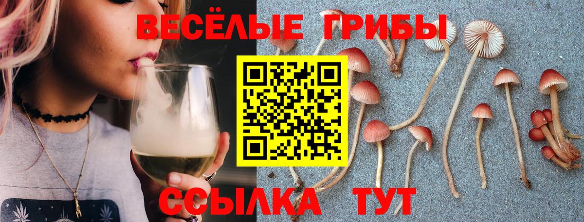 Псилоцибиновые грибы прущие грибы  Псилоцибиновые грибы прущие грибы  купить наркоту  Каменск-Шахтинский  Вход с VPN 