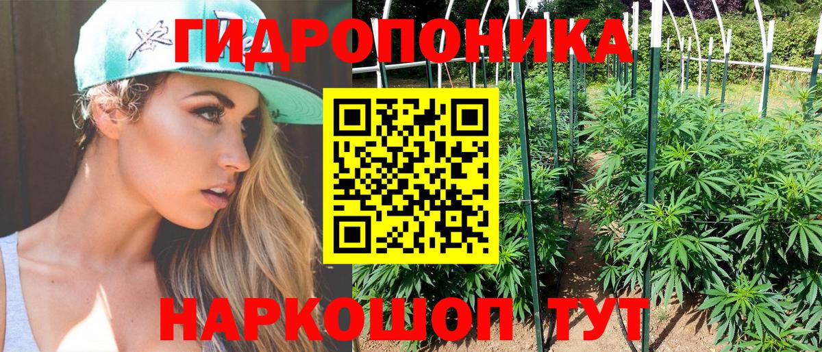 Шишки марихуана Ganja  Марихуана план  Вход с VPN  Каменск-Шахтинский 